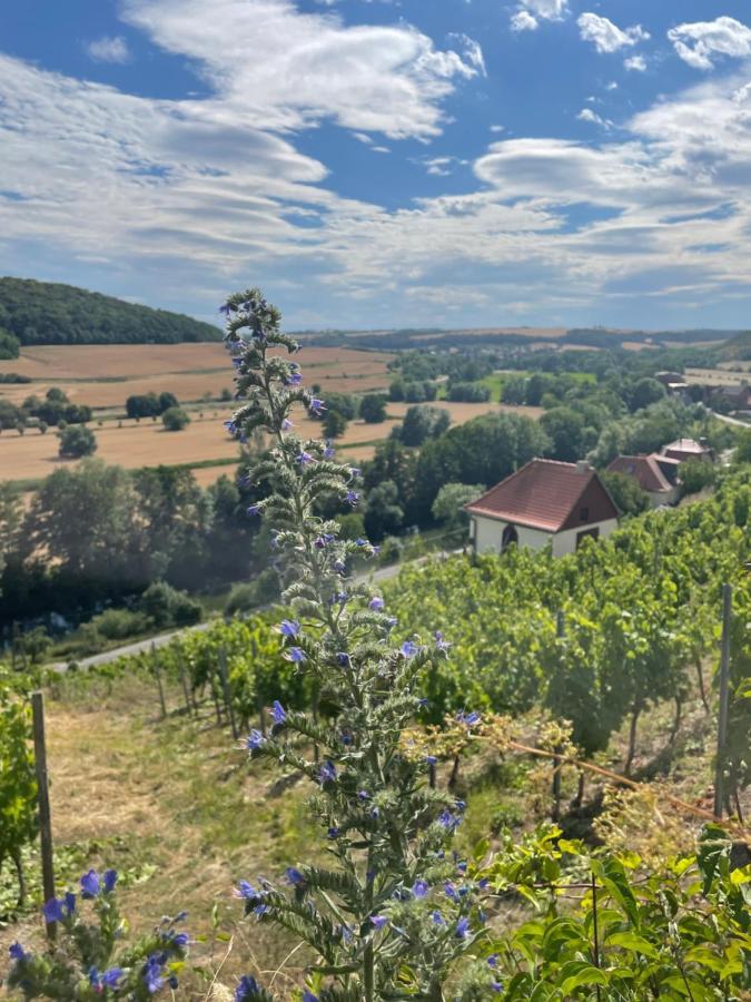Ferienhaus Traminer Im Weinberg Фрайбург Екстер'єр фото